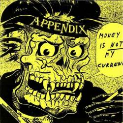 Appendix : Money Is Not My Currency